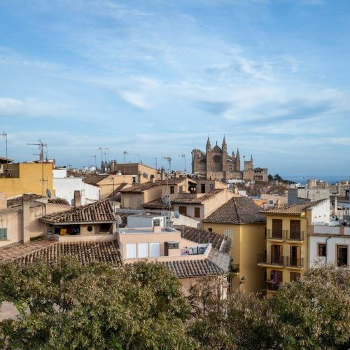 Blick auf die Altstadt von Palma de Mallorca