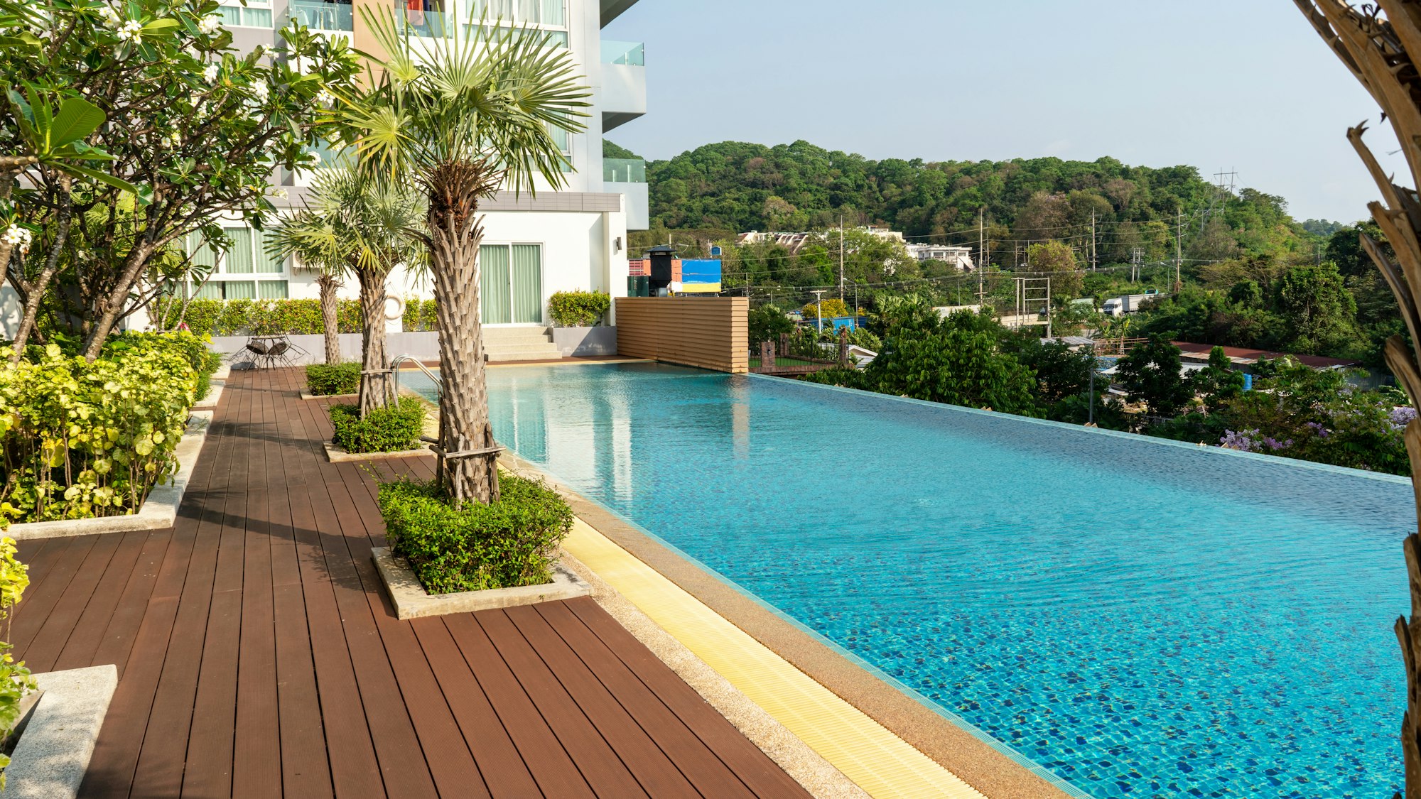 Immobilie in Estellencs auf Mallorca Palmen Garten am Pool