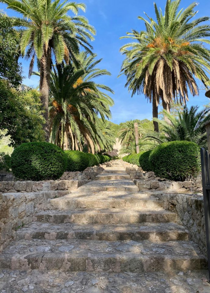 Schöner Garten mit Steintreppe in Inca Mallorca