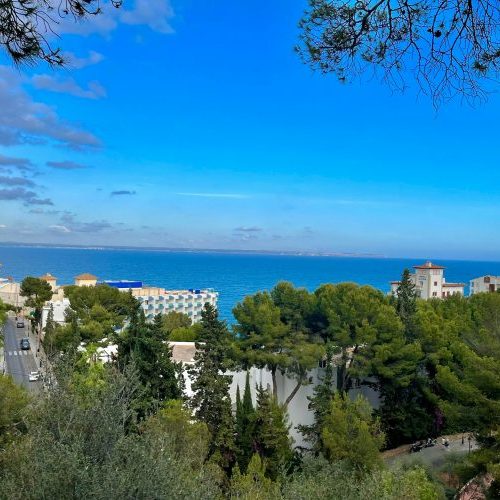 Weitblick auf grüne Parks und Meer von Genova in Palma de Mallorca