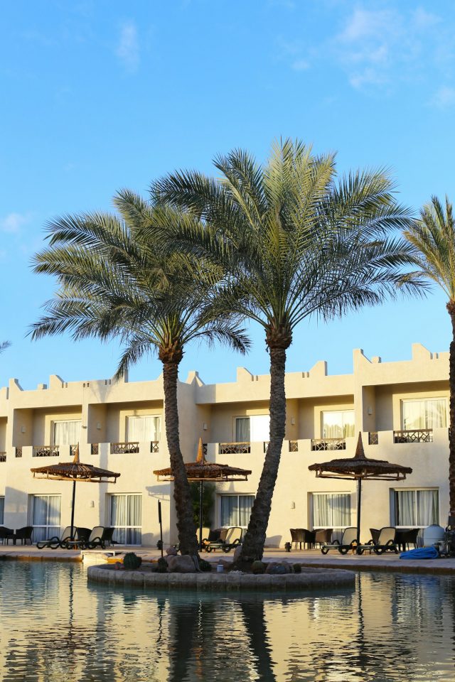 Reihenhäuser mieten auf Mallorca mit Pool und Palmen